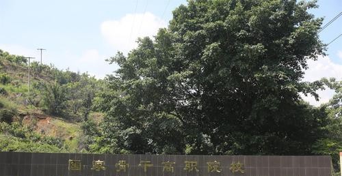 四川机电职业技术学院是几专