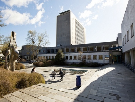 挪威经济学院