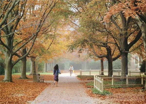 威廉玛丽学院