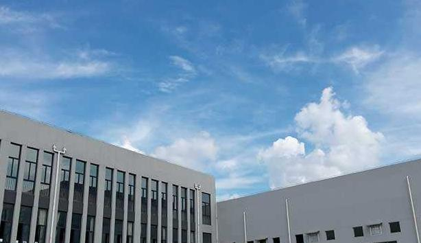 绍兴体育运动学校