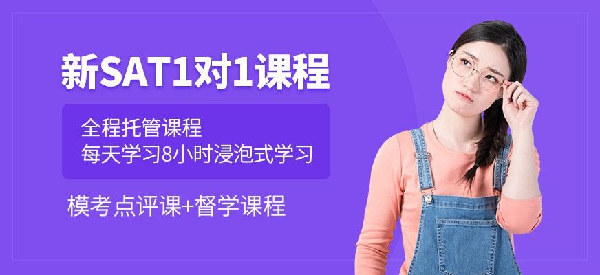新SAT一对一全程托管课程