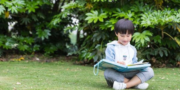 石家庄学少儿编程哪个机构好