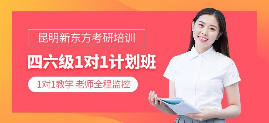 四六级1对1计划班