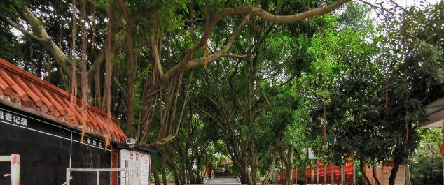 截图_20211118210935