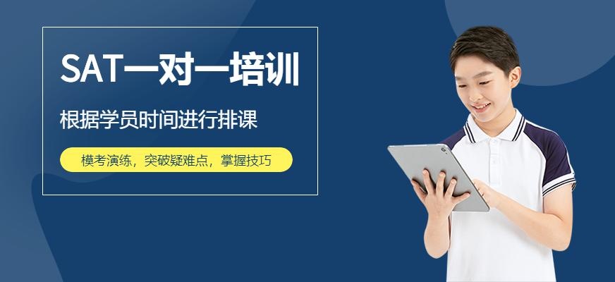 sat一对一培训