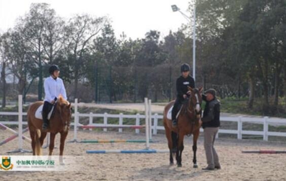 中加枫华国际学校马术课程