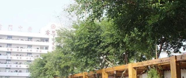 截图_20211116125615