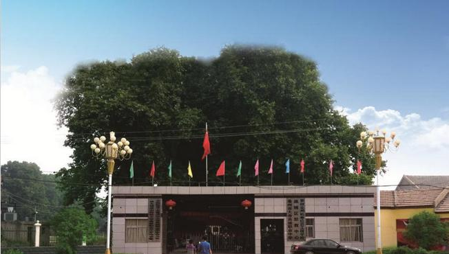 安徽亳州机电信息工程学校