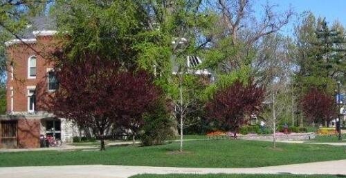 洛阳商业职业中等专业学校网站