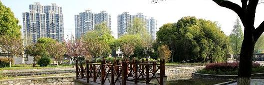 江苏镇江中学2020年招生代码