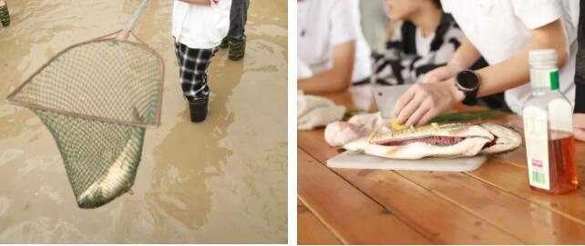 户外体验活动.jpg