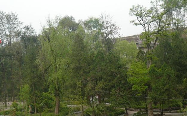 宣汉县毛坝职业技术学校