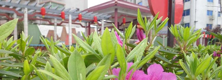 截图20200109085549