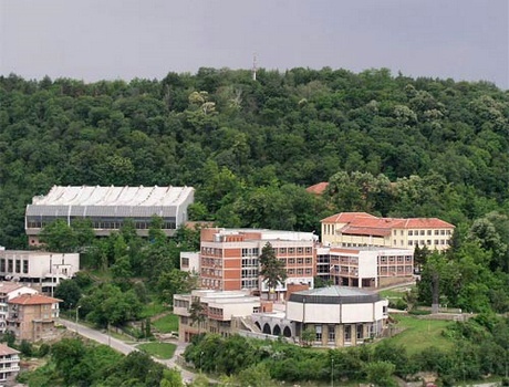 大特尔诺沃大学