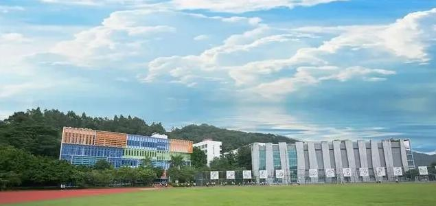 深圳市桃源居中澳实验学校高中双语课程