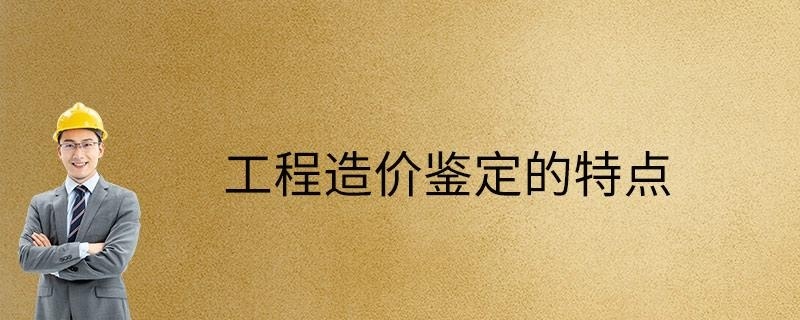 工程造价鉴定的特点