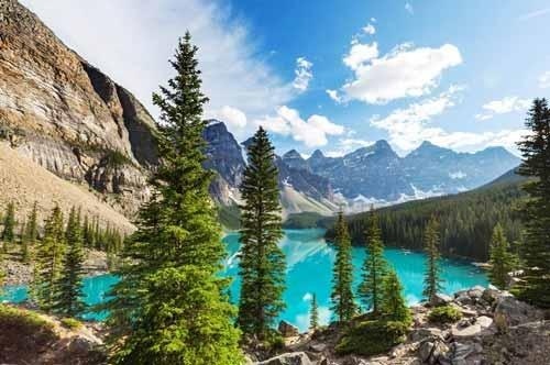 如何提升心理素质