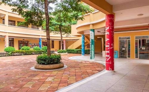 深圳曦城协同国际学校