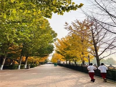 北京市师达中学