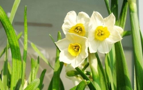 师范类物理考研方向