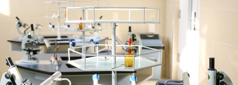 北京爱迪国际学校小学部2023年学费、收费多少