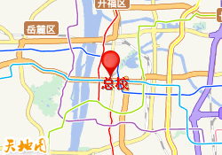 总校