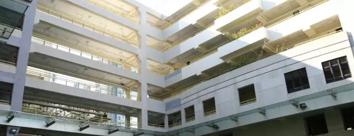 香港新加坡国际学校2020年报名条件、招生要求、招生对象