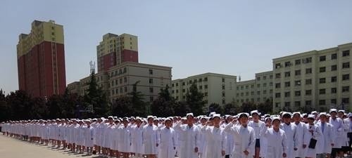 郑州黄河护理职业学院单招成绩查询时间