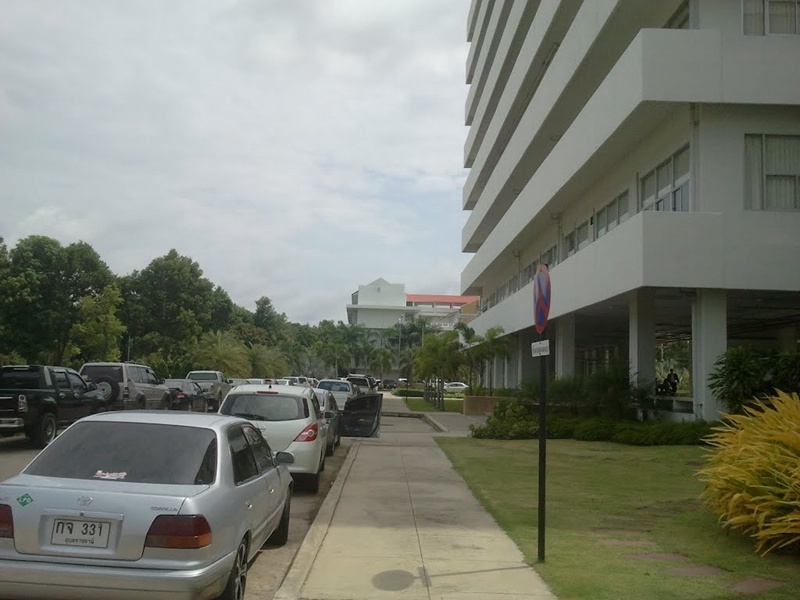 四色菊皇家大学