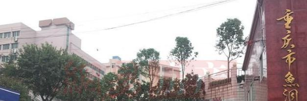 截图_20211105084900