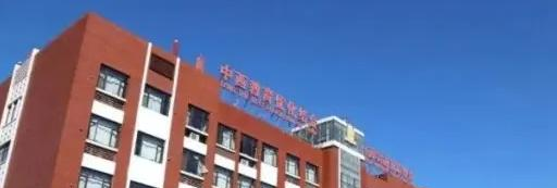 天津泰达国际学校2022年课程体系