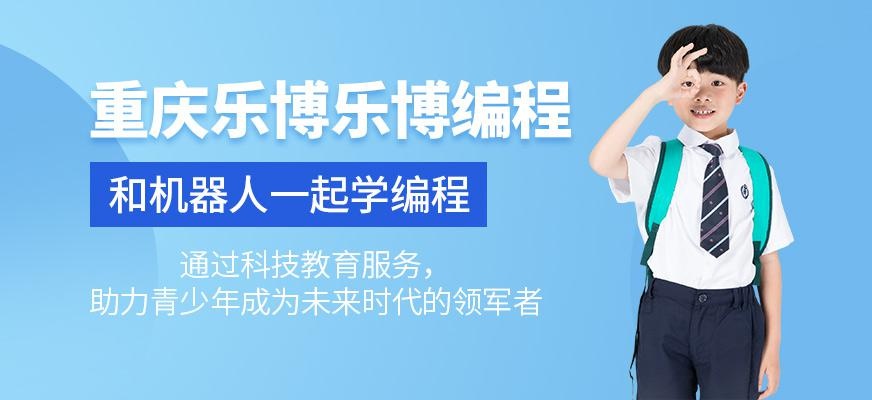 重庆乐博乐博编程