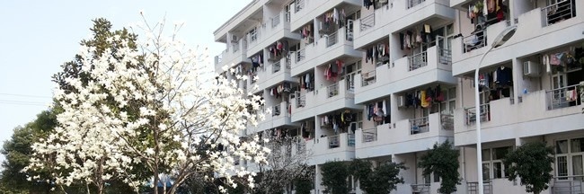 绍兴职业技术学院2019年单招录取分数线