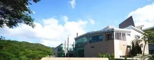 苏州港大思培科技职业学院五年制大专2019年招生办
