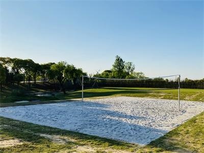 剑桥文理与剑桥艺术学校