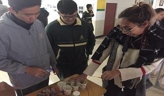 河南枫叶国际学校学子风采