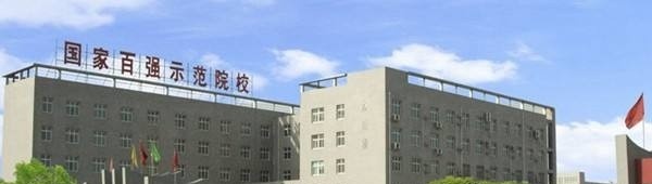 河北软件职业技术学院2019年单招录取分数线