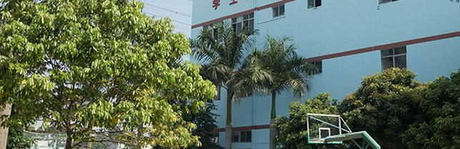 东莞育才职业技术学校2020年招生录取分数线