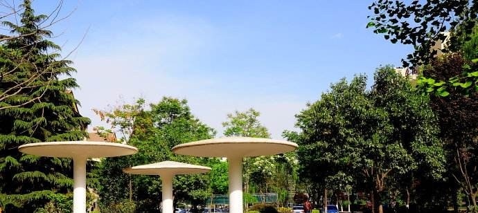 西北大学软件职业技术学院单招报名条件