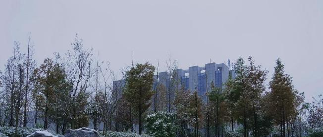 安徽国际商务职业学院单招报名时间