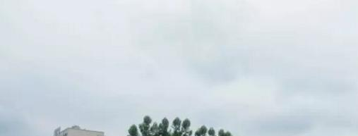 信丰中等专业学校网站