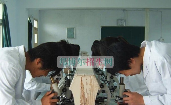 西安育才医科职业学校