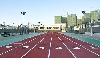 深圳弘金地国际学校