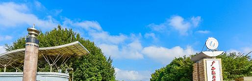 广西职业技术学院2020年招生简章