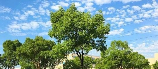 慈溪周巷職業(yè)高級中學(xué)