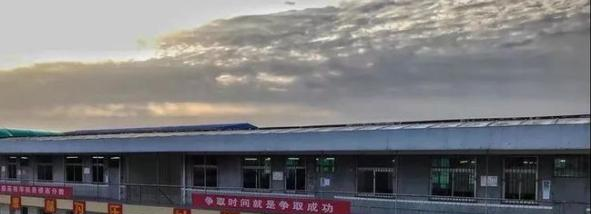 渭南大荔中学网站