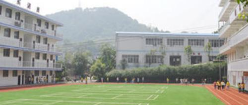 枣庄卫生学校网站