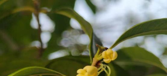 上犹中等专业学校