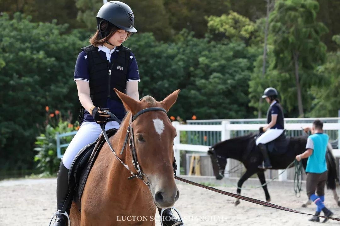 马术课程.jpg