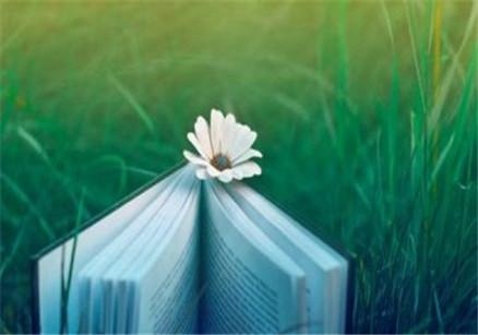 上海淘宝培训报名地址